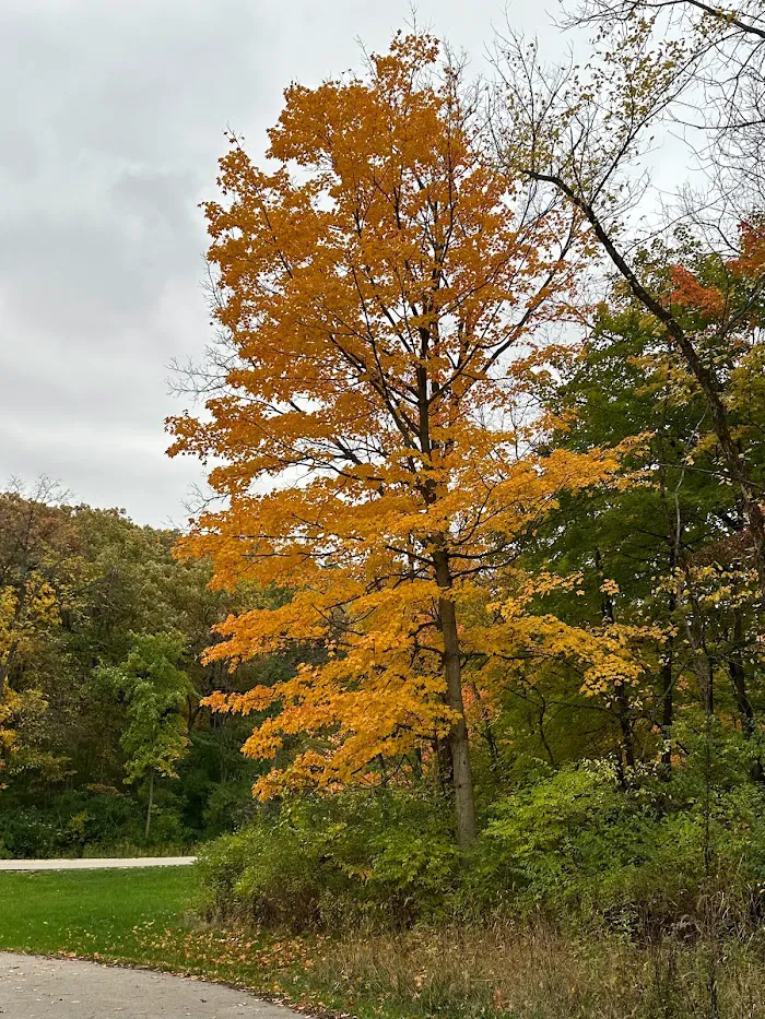 Hickory Hills 9