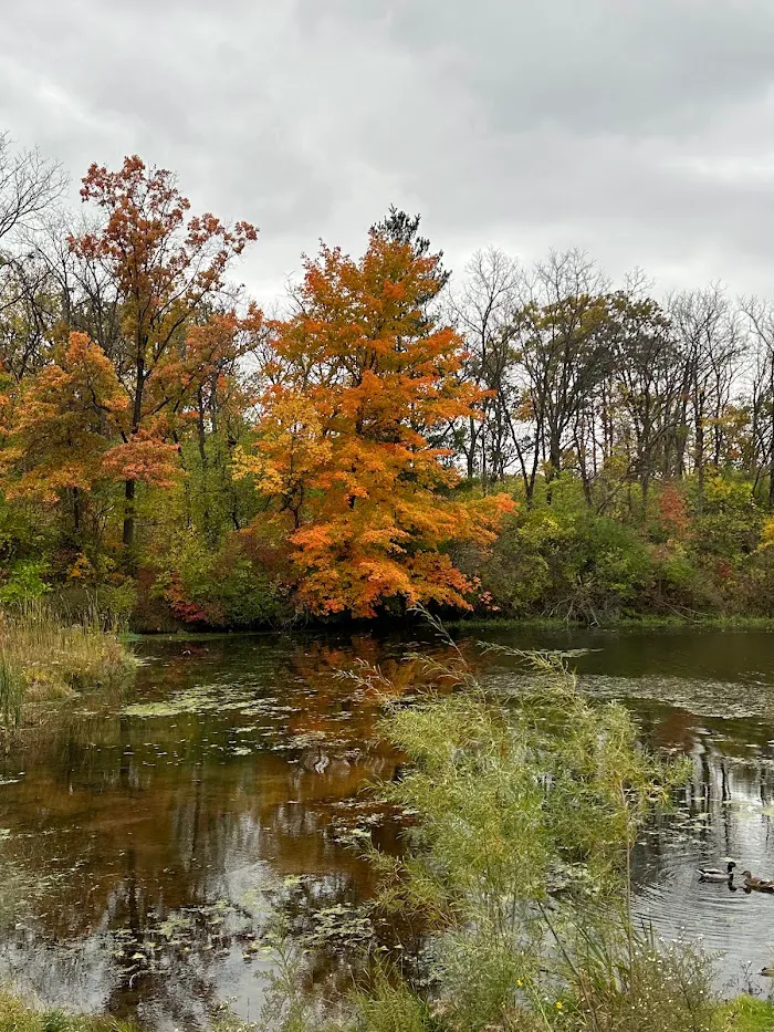 Hickory Hills 8