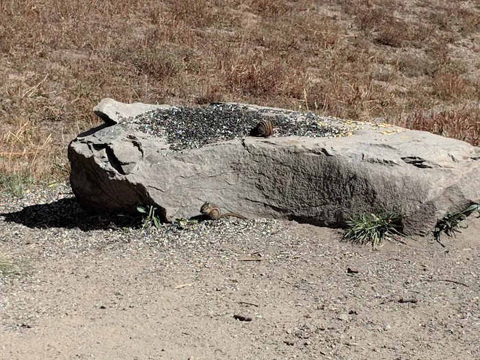 Lake Irwin Campground 8