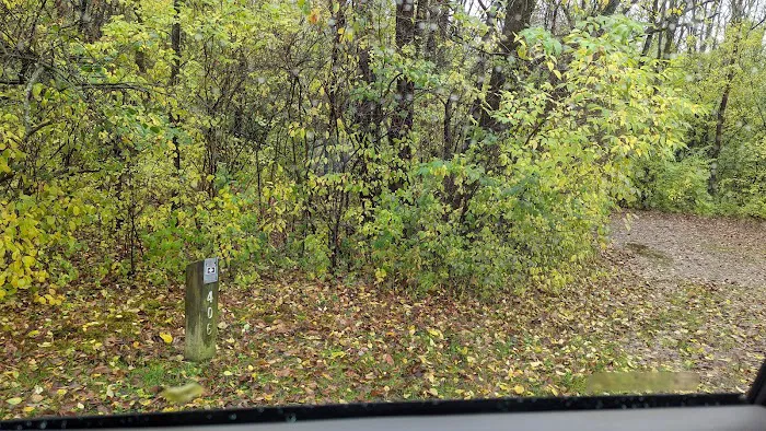 White Oak 3