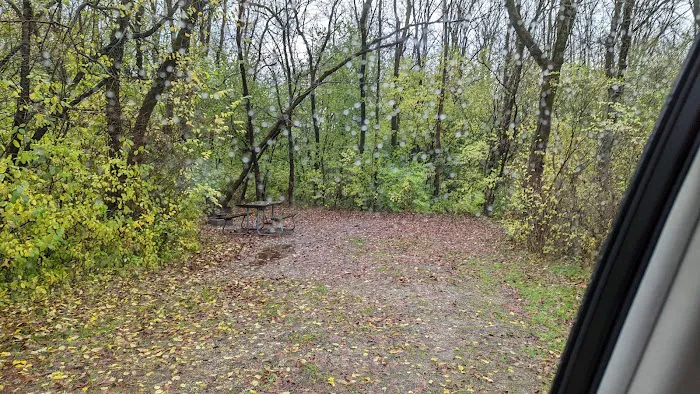 White Oak 2