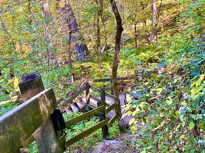 Mississippi Palisades State Park Campground 3