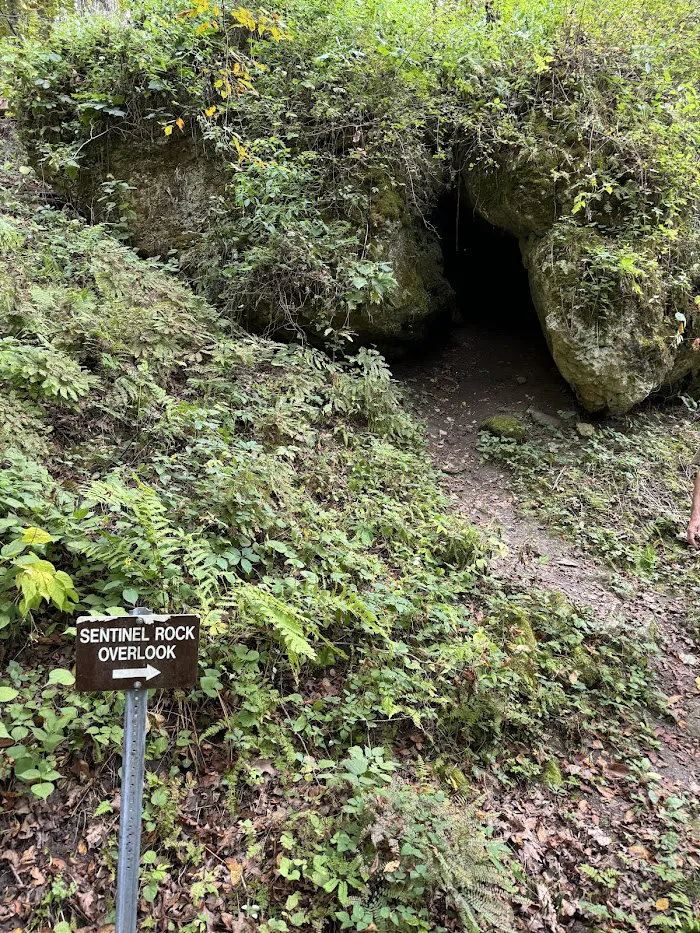 Mississippi Palisades State Park Campground 7