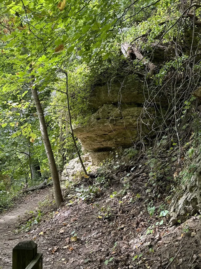 Mississippi Palisades State Park Campground 8