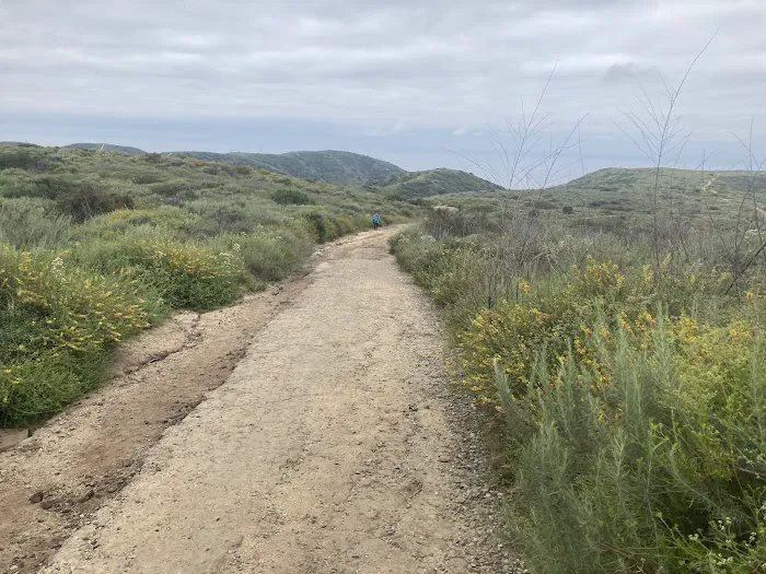 Lower Moro Campground 1