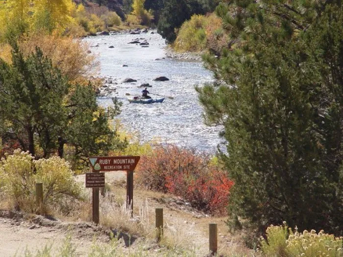 Ruby Mountain Campground 4