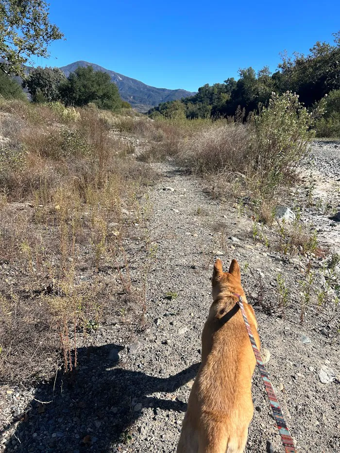 Arroyo Campground 8