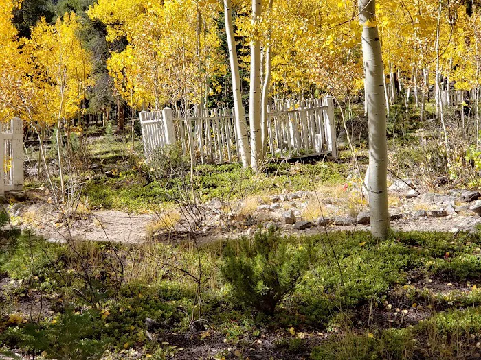 Iron City Campground 6