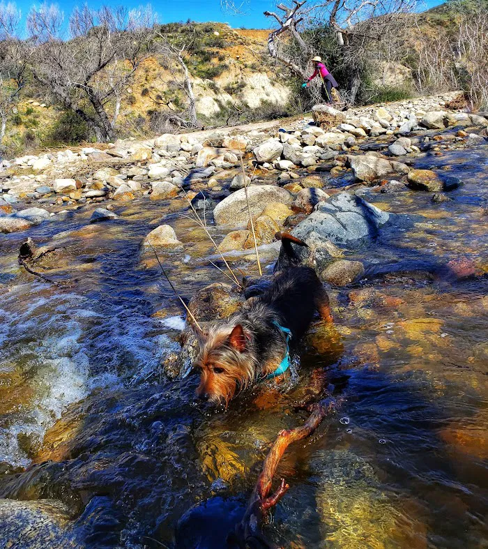 Agua Tibia Wilderness 8
