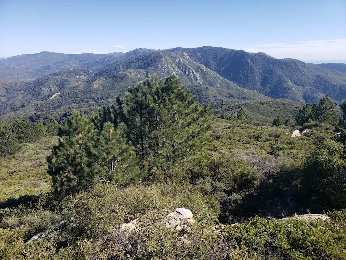 Agua Tibia Wilderness 1