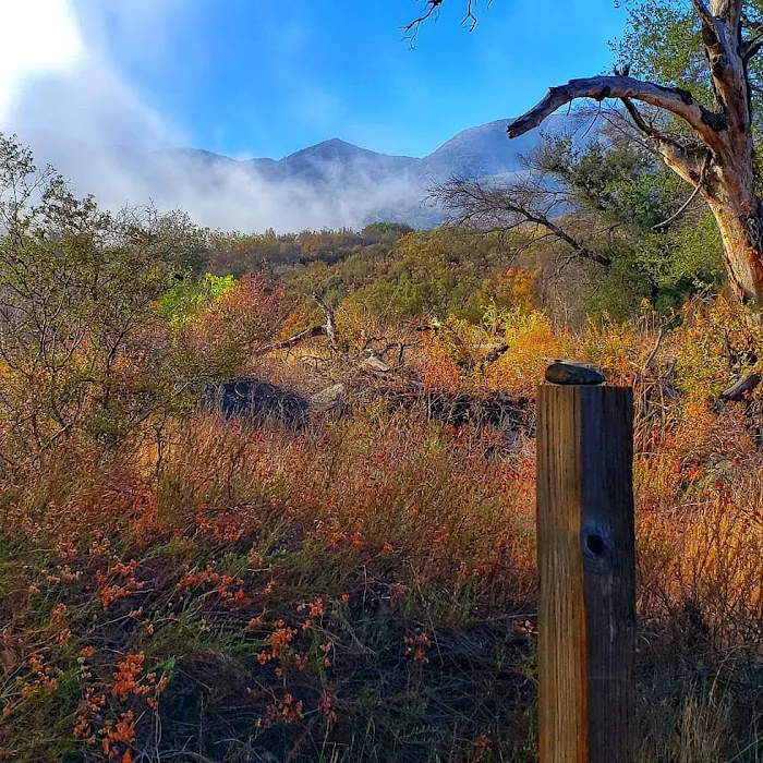 Agua Tibia Wilderness 5