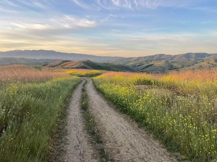 Chino Hills State Park 3