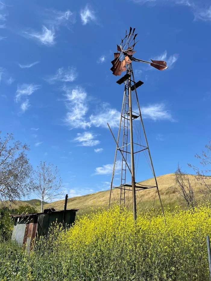 Chino Hills State Park 1