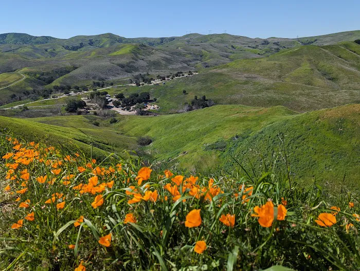 Chino Hills State Park 7
