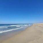 Bolsa Chica State Beach