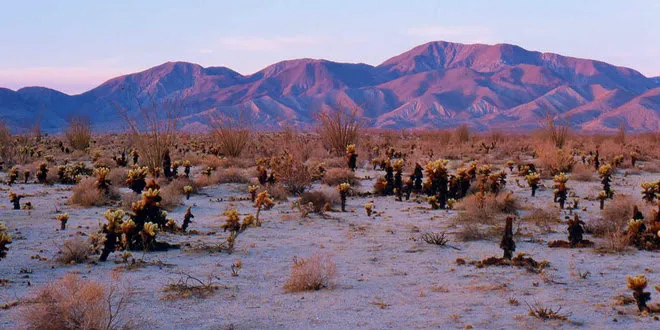 Anza-Borrego Desert State Park 0