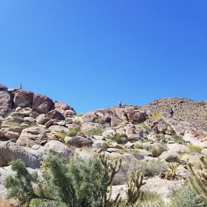Anza-Borrego Desert State Park 4