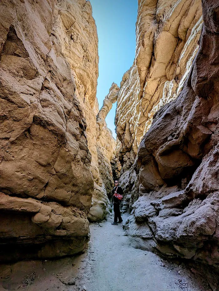 Anza-Borrego Desert State Park 8