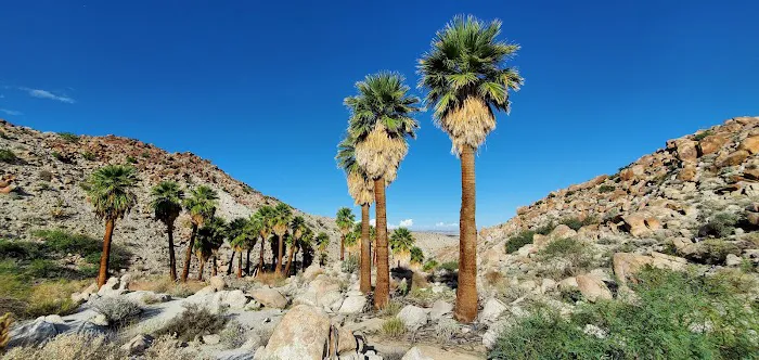 Anza-Borrego Desert State Park 5