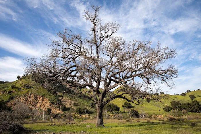 Malibu Creek State Park 1