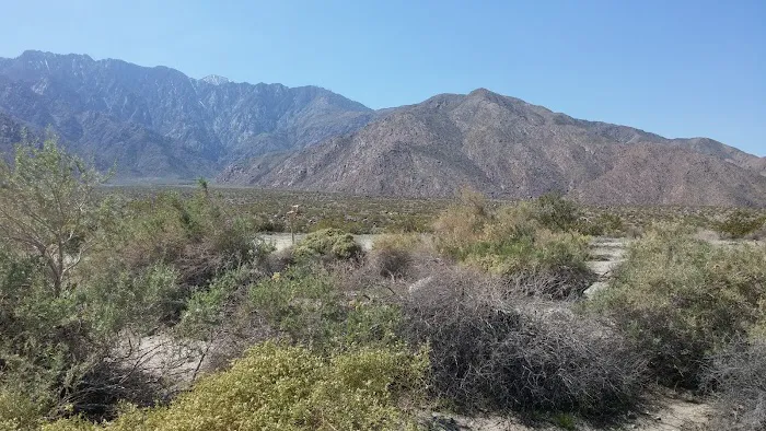 Mount San Jacinto State Park 7