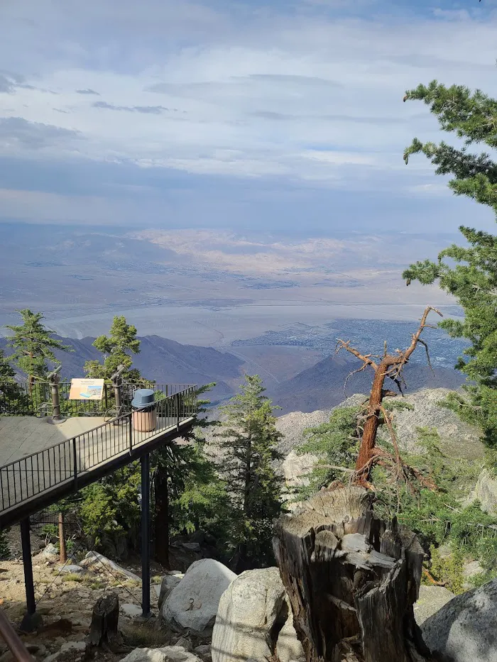 Mount San Jacinto State Park 8