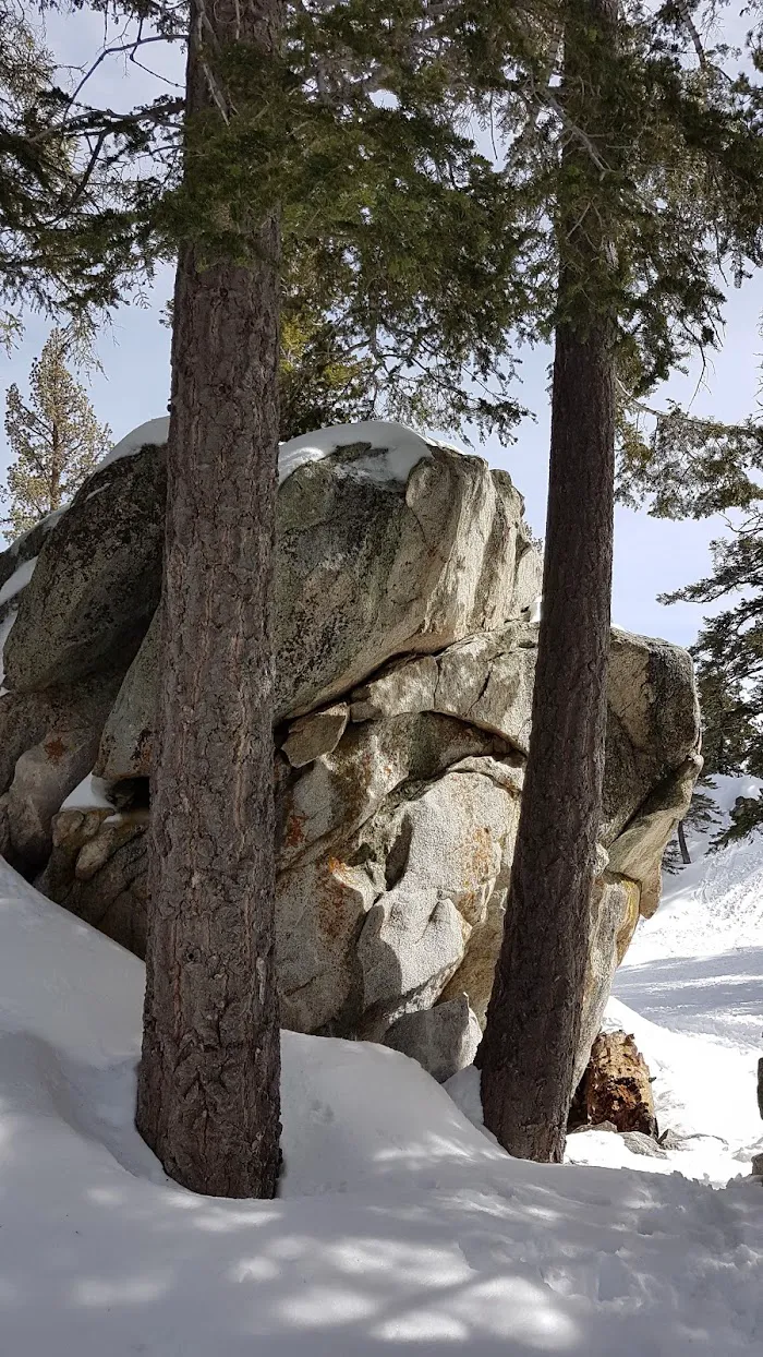 Mount San Jacinto State Park 9