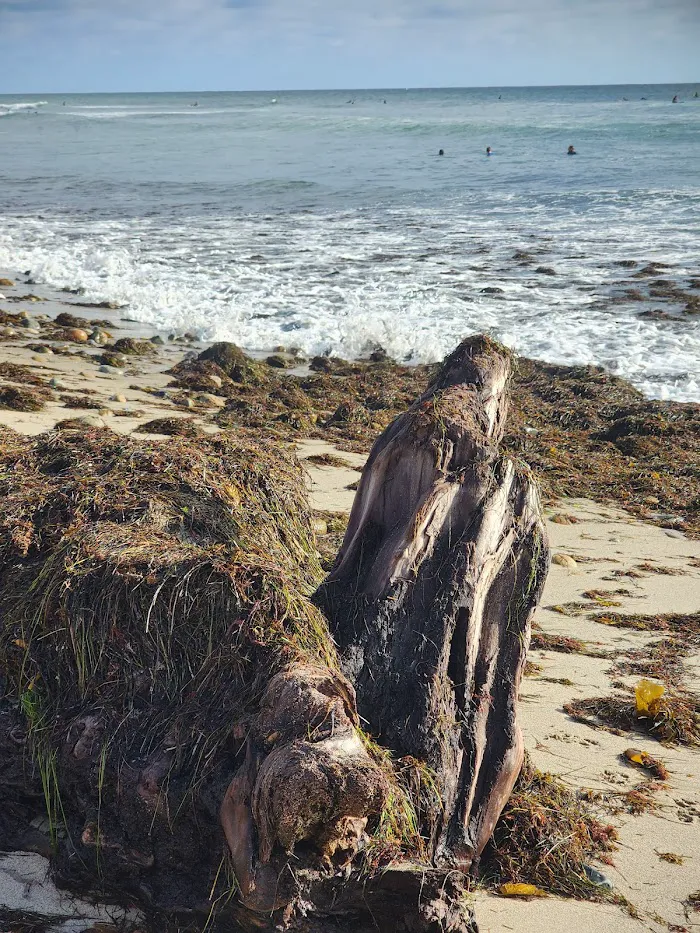 San Onofre Beach 6