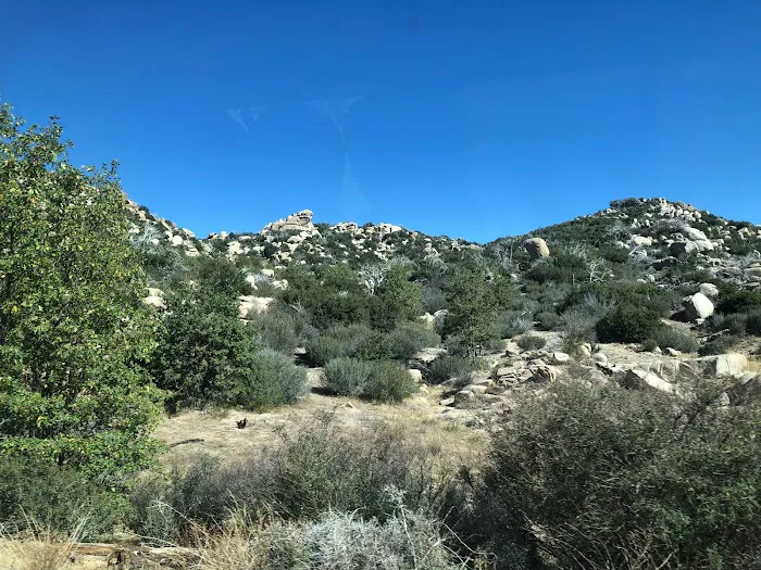 San Bernardino National Forest 2