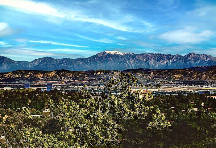 San Bernardino National Forest 3