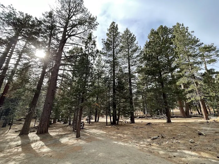 San Bernardino National Forest 0