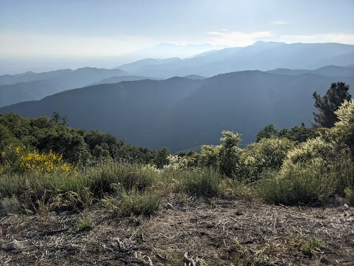 San Bernardino National Forest 9