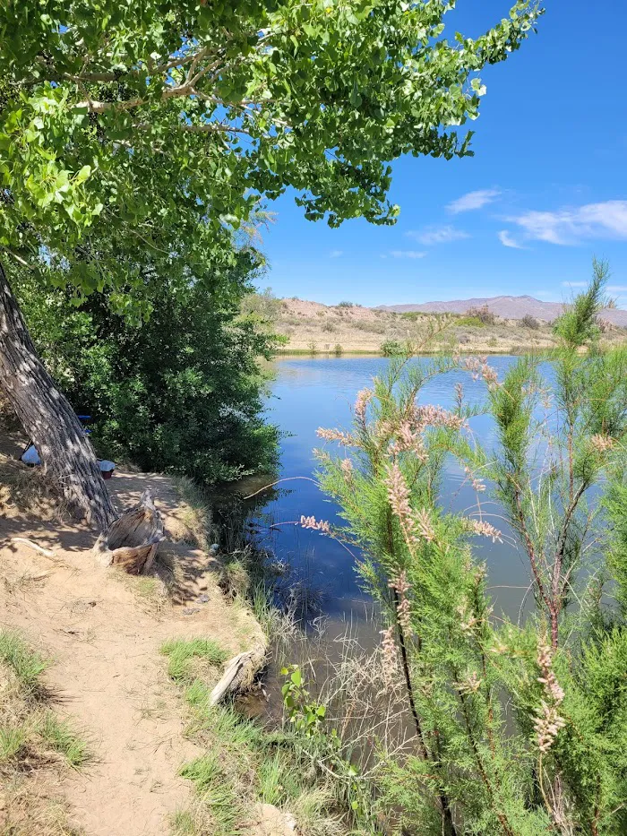 Escondida Lake Campground 7