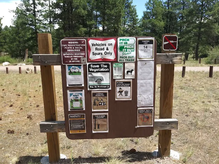 Ojo Redondo Campground 6