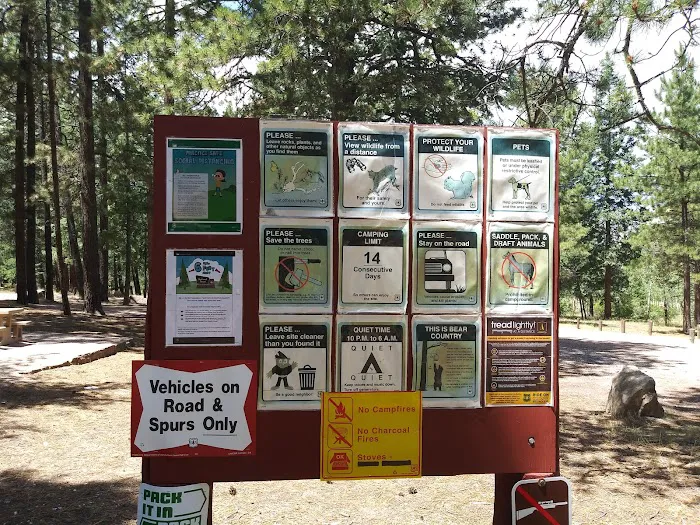 Ojo Redondo Campground 9