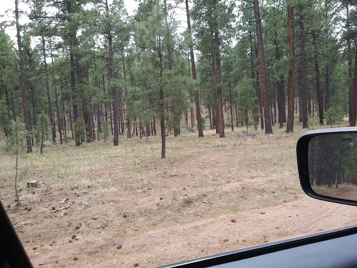 Ojo Redondo Campground 3