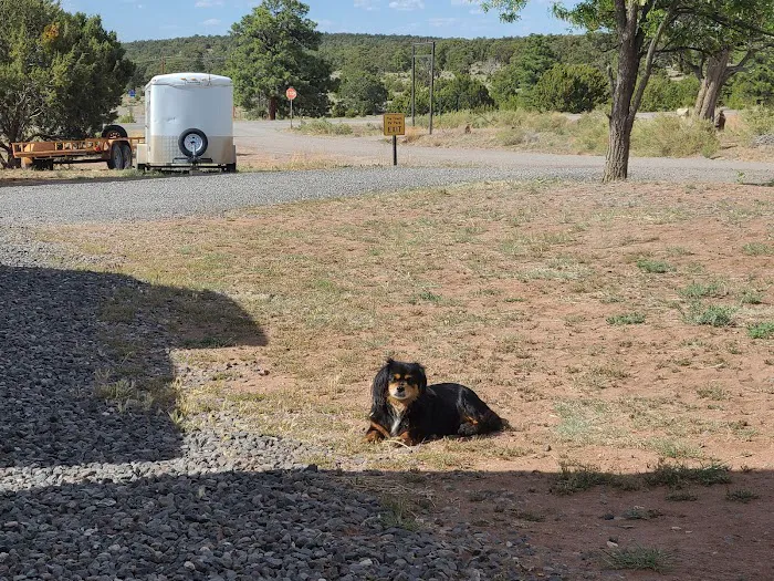 Pie Town RV Park 2