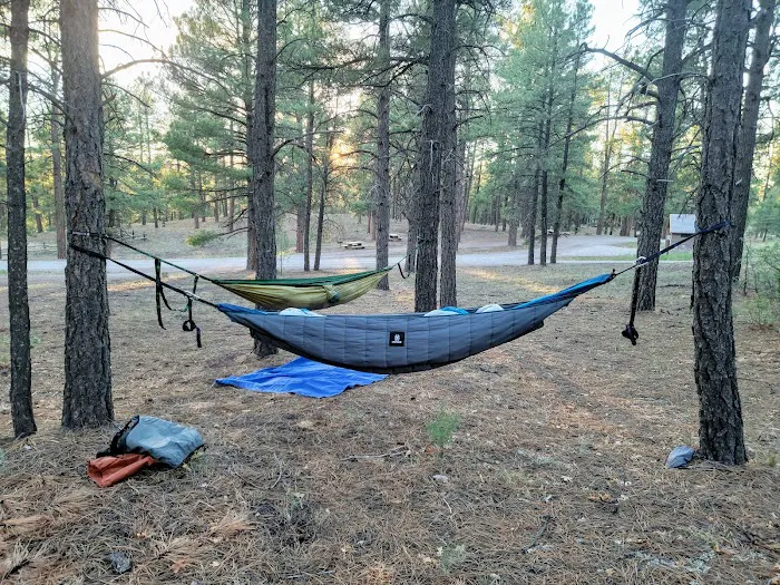 McGaffey Campground 4