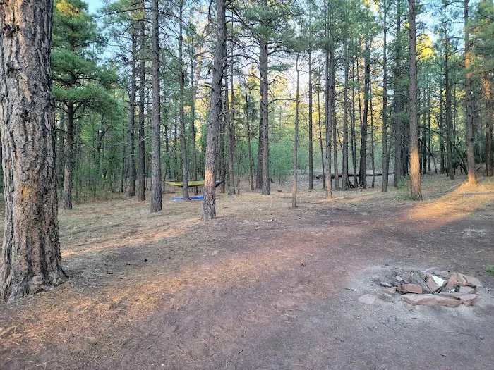 McGaffey Campground 1