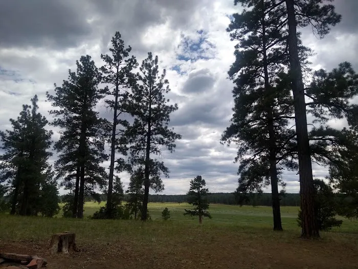 McGaffey Campground 3