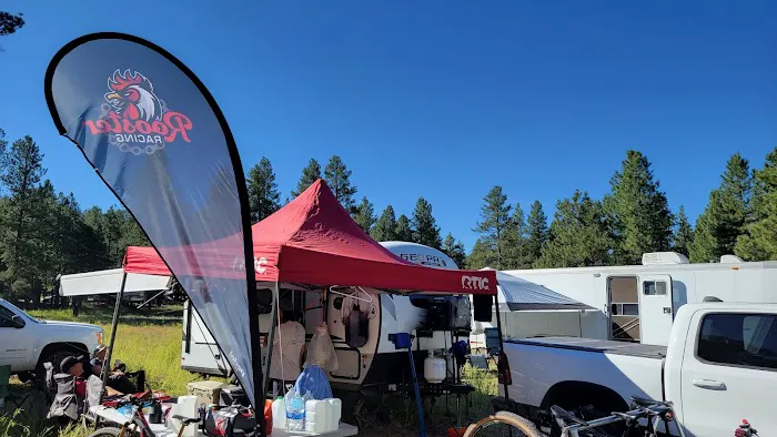 McGaffey Campground 2
