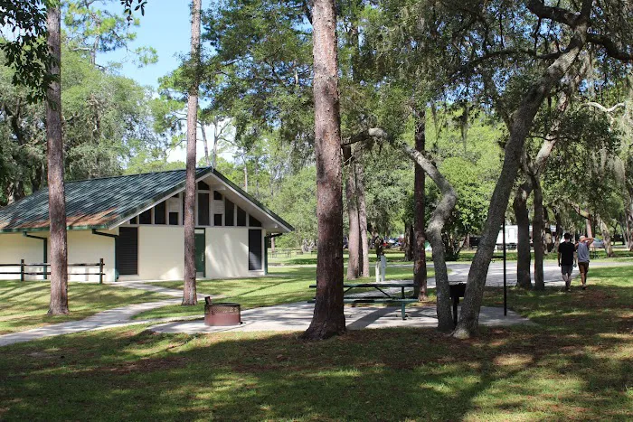 Salt Springs Recreation Area 1