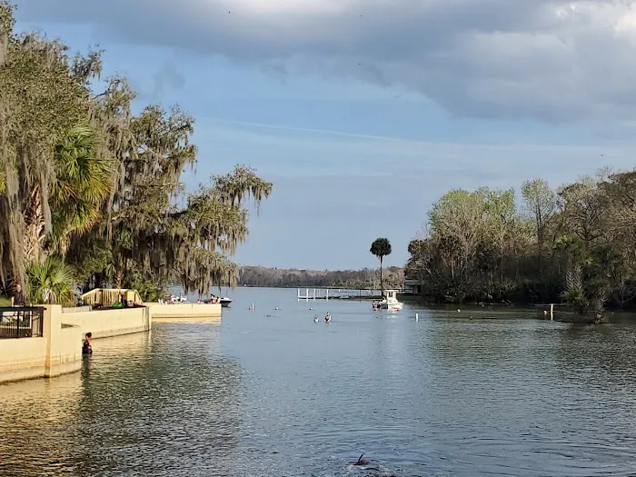 Salt Springs Recreation Area 0