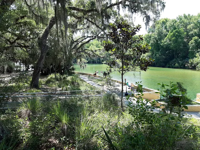 Salt Springs Recreation Area 5