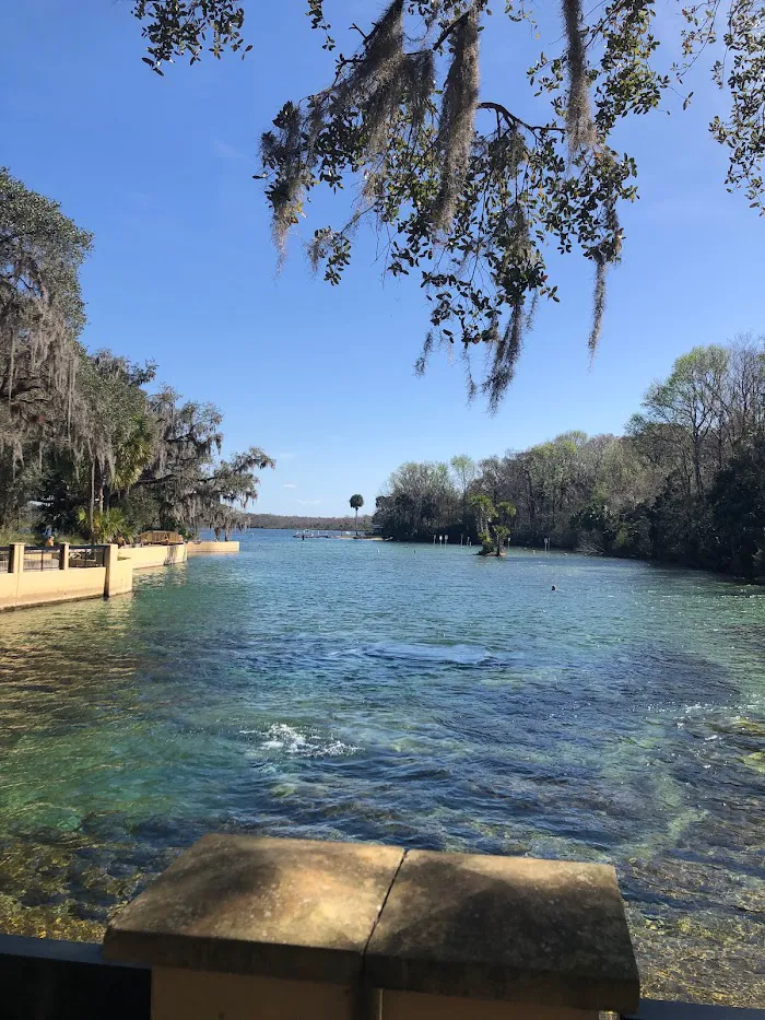Salt Springs Recreation Area 3