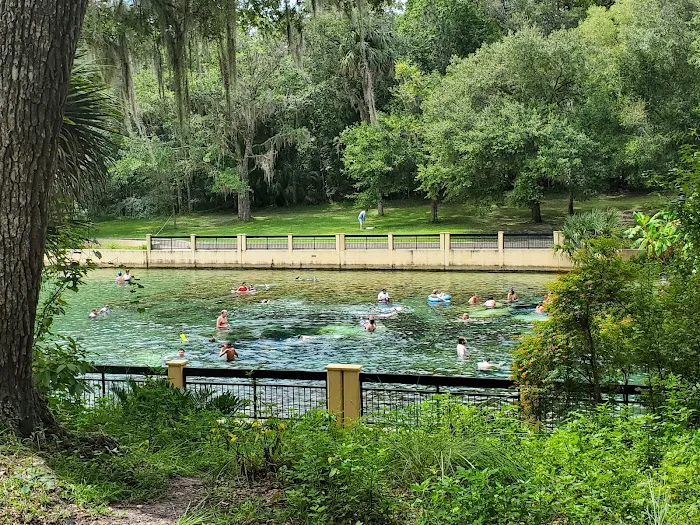 Salt Springs Recreation Area 7