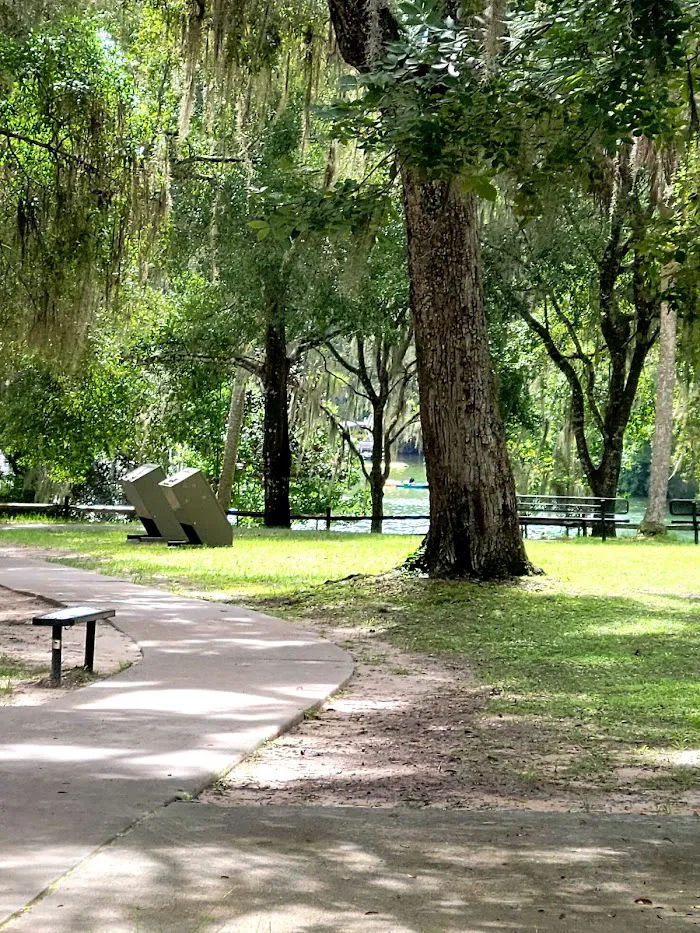Salt Springs Recreation Area 9