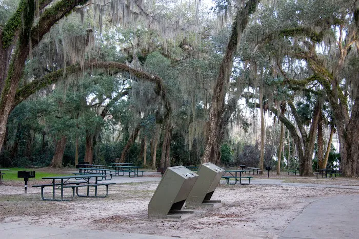 Salt Springs Recreation Area 6