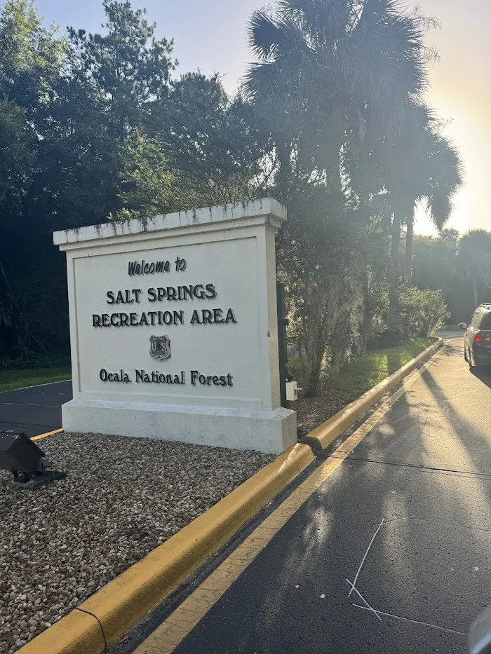 Salt Springs Recreation Area 8