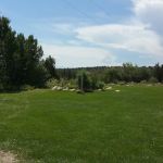 Arkansas River Rim Campground